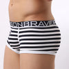 Striped Cotton Underwear